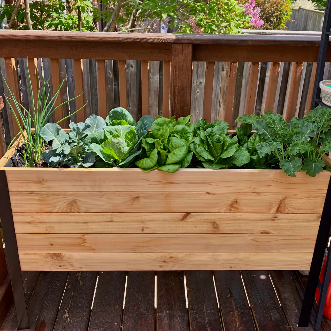 18" x 48" Raised Garden Bed - 30" TALL - Select Grade - Image 12