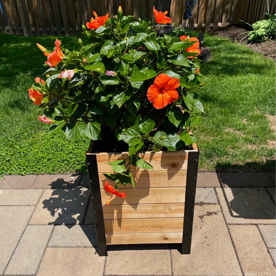 18″ x 18″ Planter Box - 24" TALL / Select Grade - Image 10