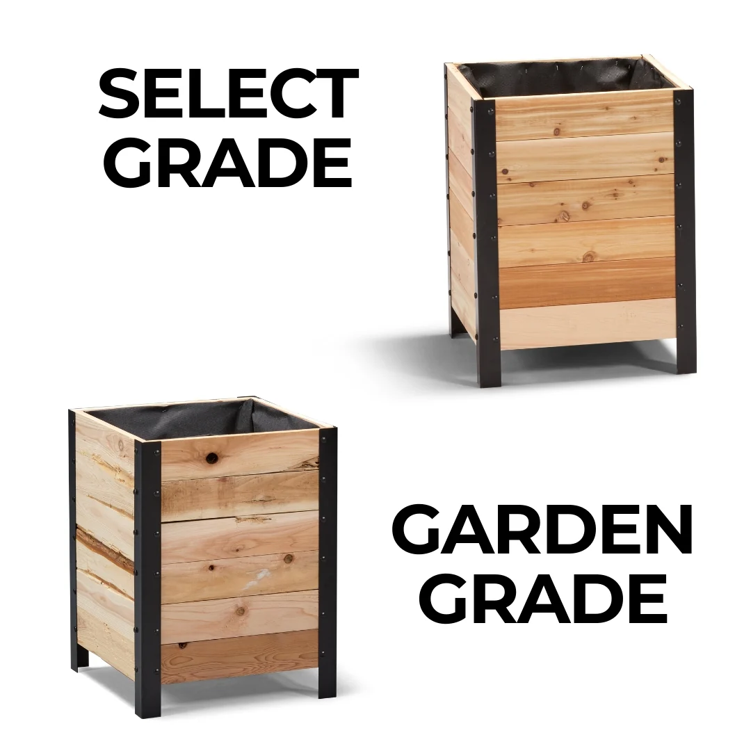18″ x 18″ Planter Box - 24" TALL / Select Grade - Image 9