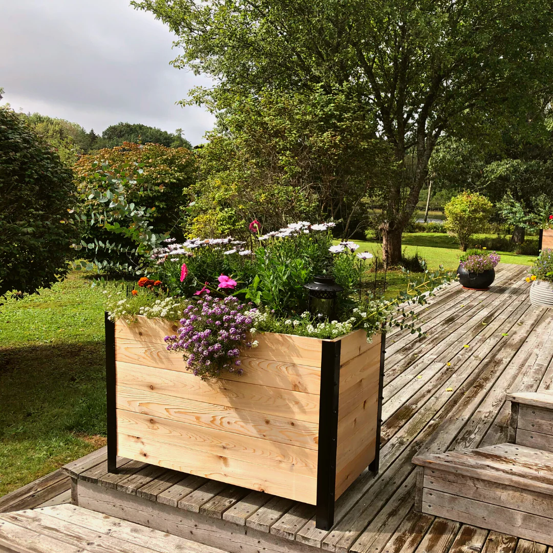 18" x 36" Planter Box - 24" TALL / Garden Grade - Image 11