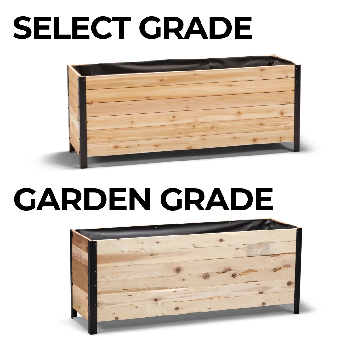 18" x 60" Planter Box - 24" TALL / Select Grade - Image 9
