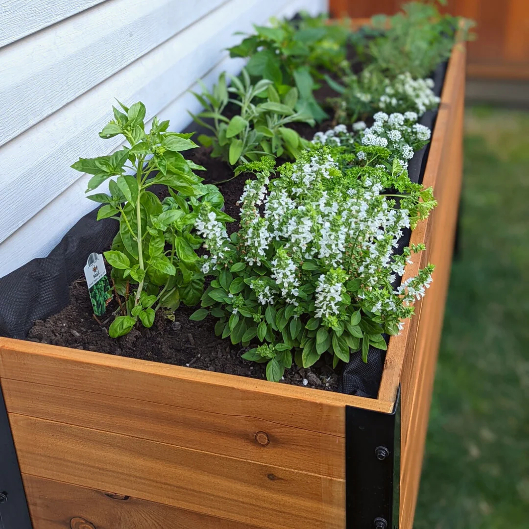 18" x 72" Planter Box - 24" TALL / Select Grade - Image 11