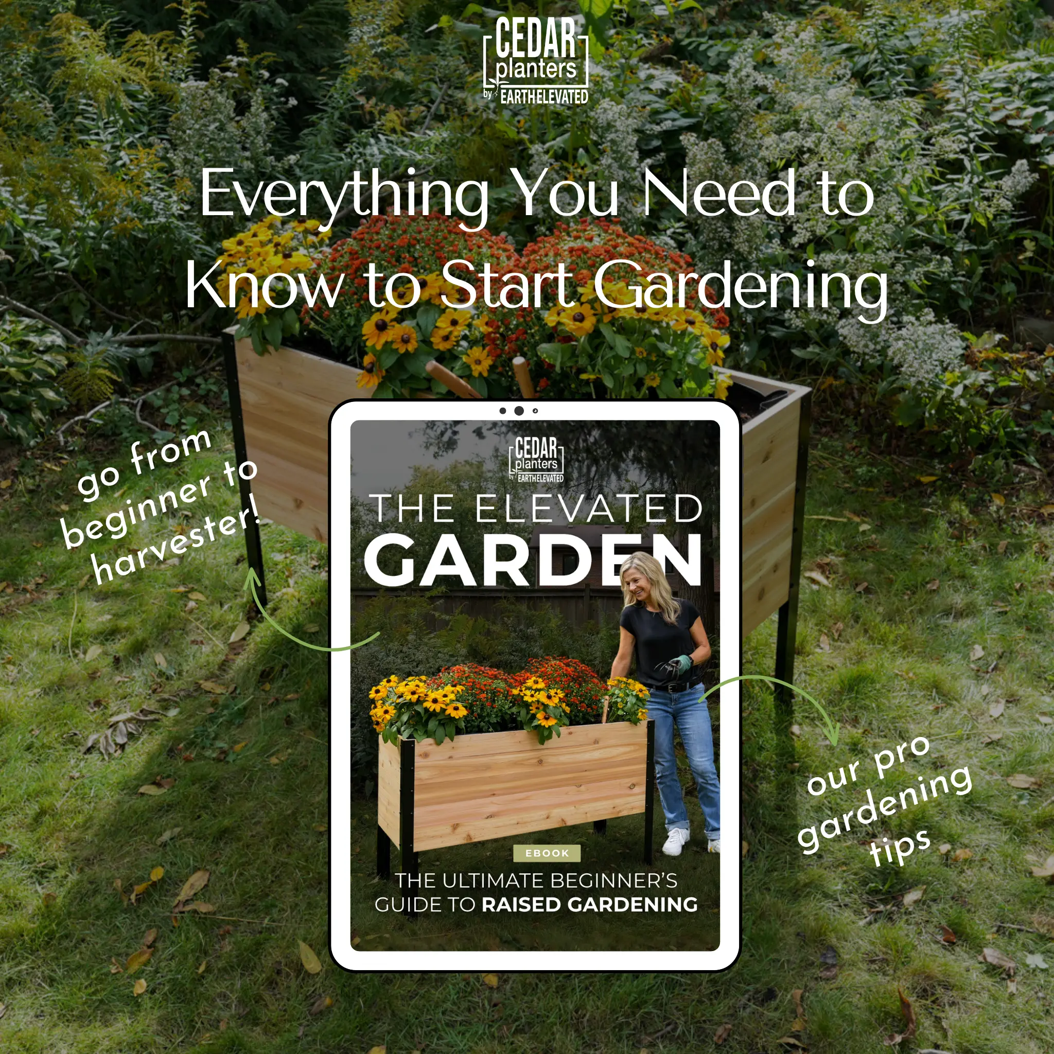 E-Book: Beginner's Guide to Raised Gardening - Image 2