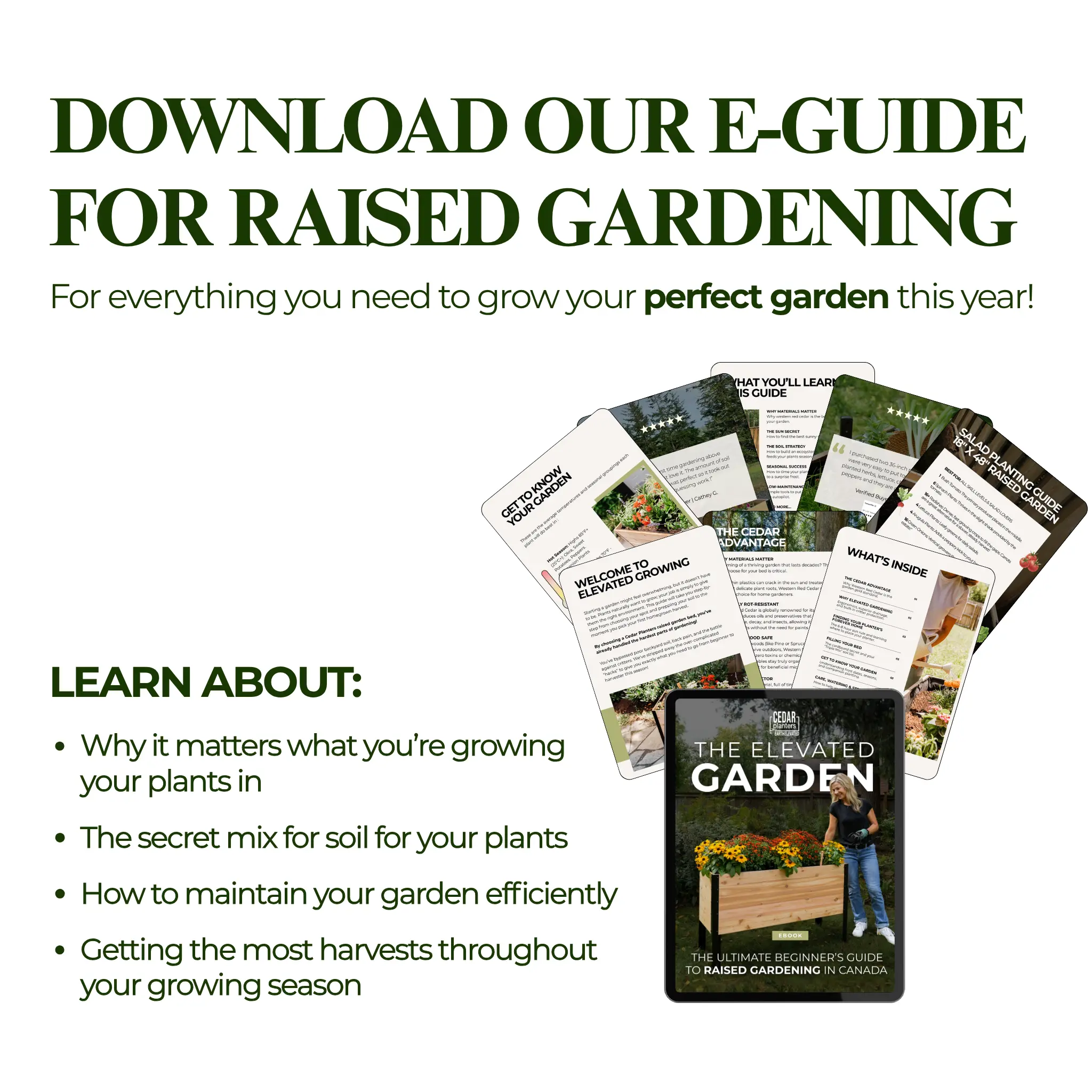 E-Book: Beginner's Guide to Raised Gardening - Image 3