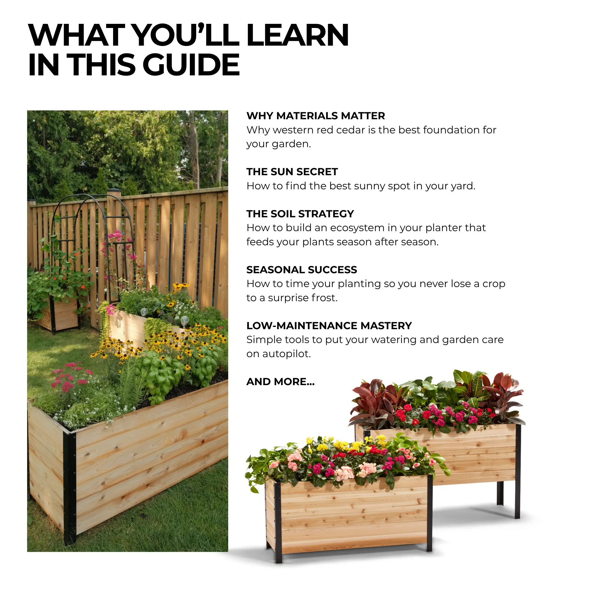 E-Book: Beginner's Guide to Raised Gardening - Image 4