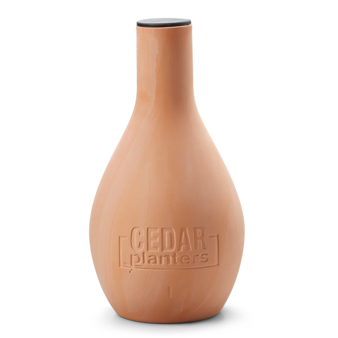 Self-Watering Clay Olla Pot - Image 10