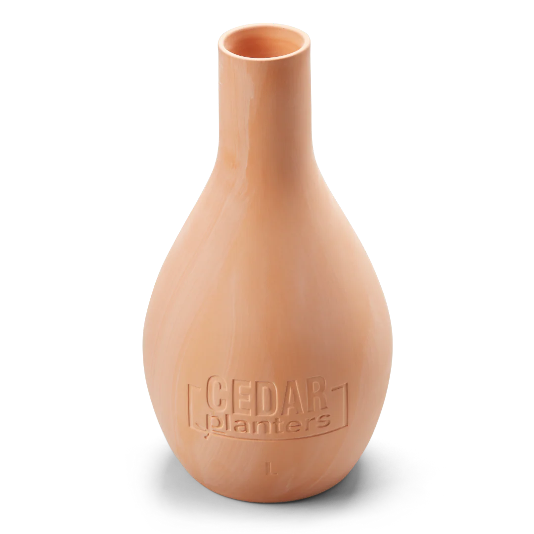 Self-Watering Clay Olla Pot - Image 11