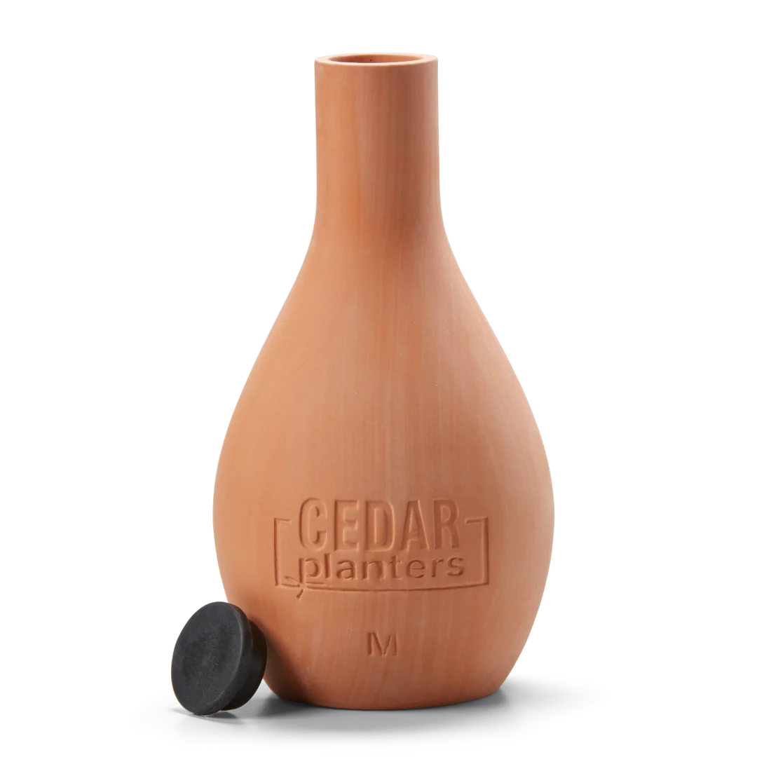 Self-Watering Clay Olla Pot - Image 6