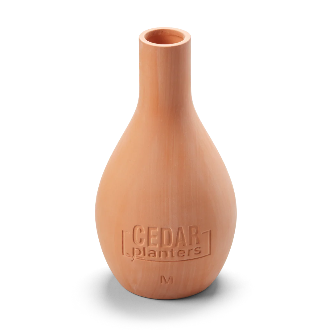 Self-Watering Clay Olla Pot - Image 7