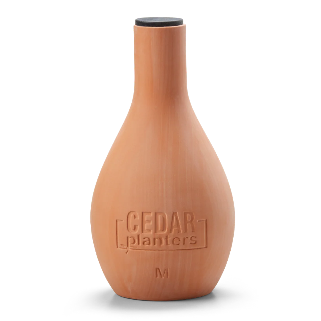 Self-Watering Clay Olla Pot - Image 8