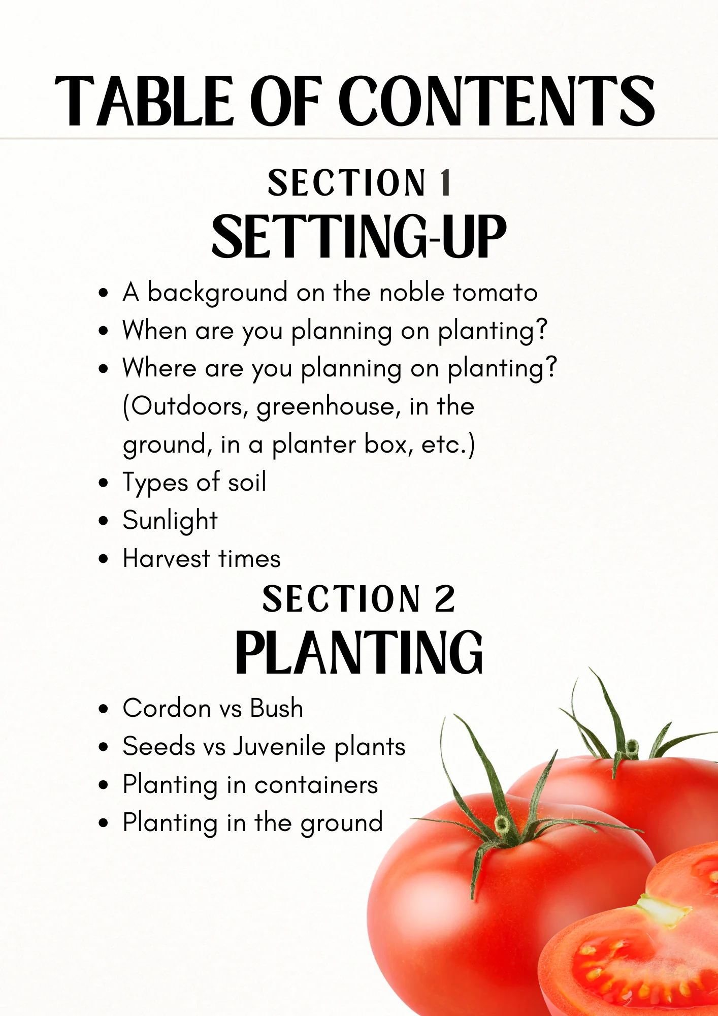 E-book: Tomato planting guide - Image 2