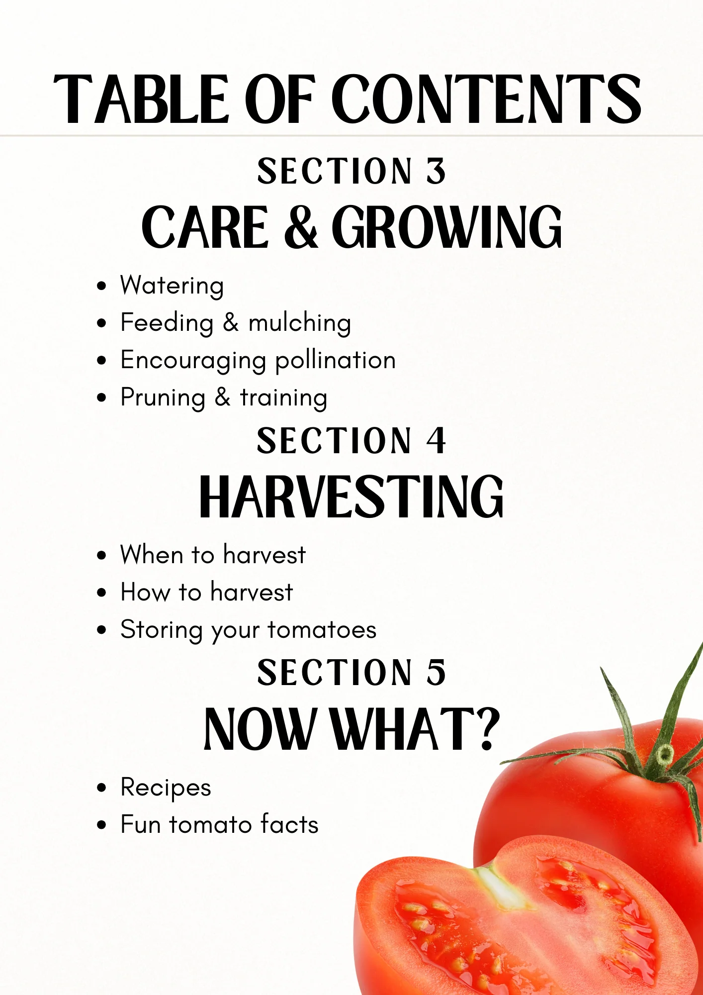 E-book: Tomato planting guide - Image 3