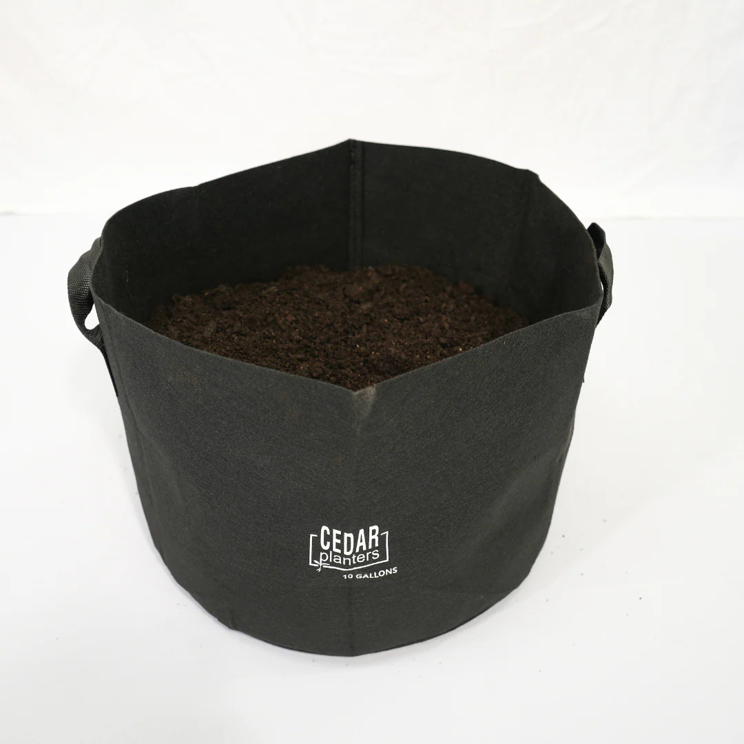 Grow Bag (10 Gallon) - Image 5