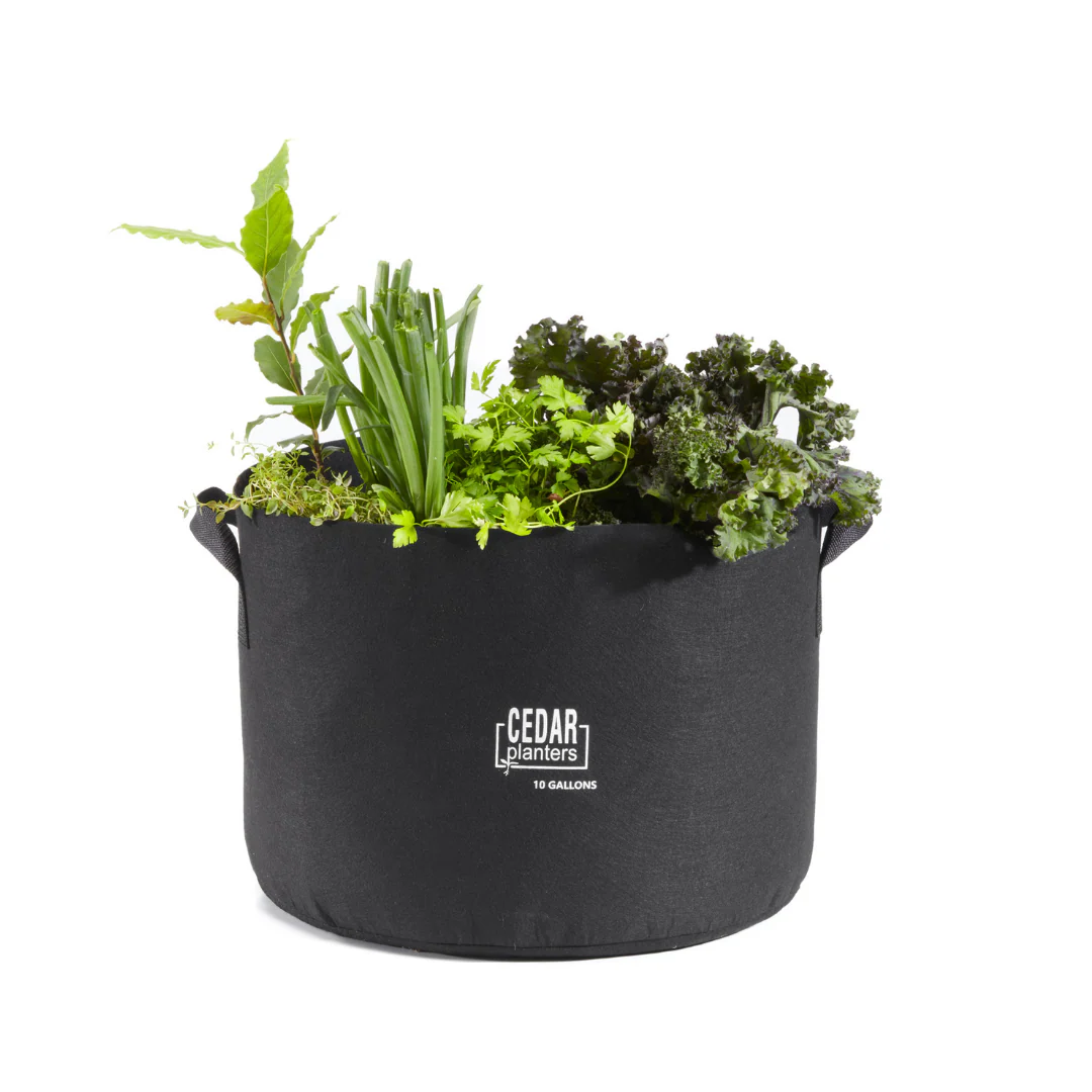 Grow Bag (10 Gallon) - Image 6