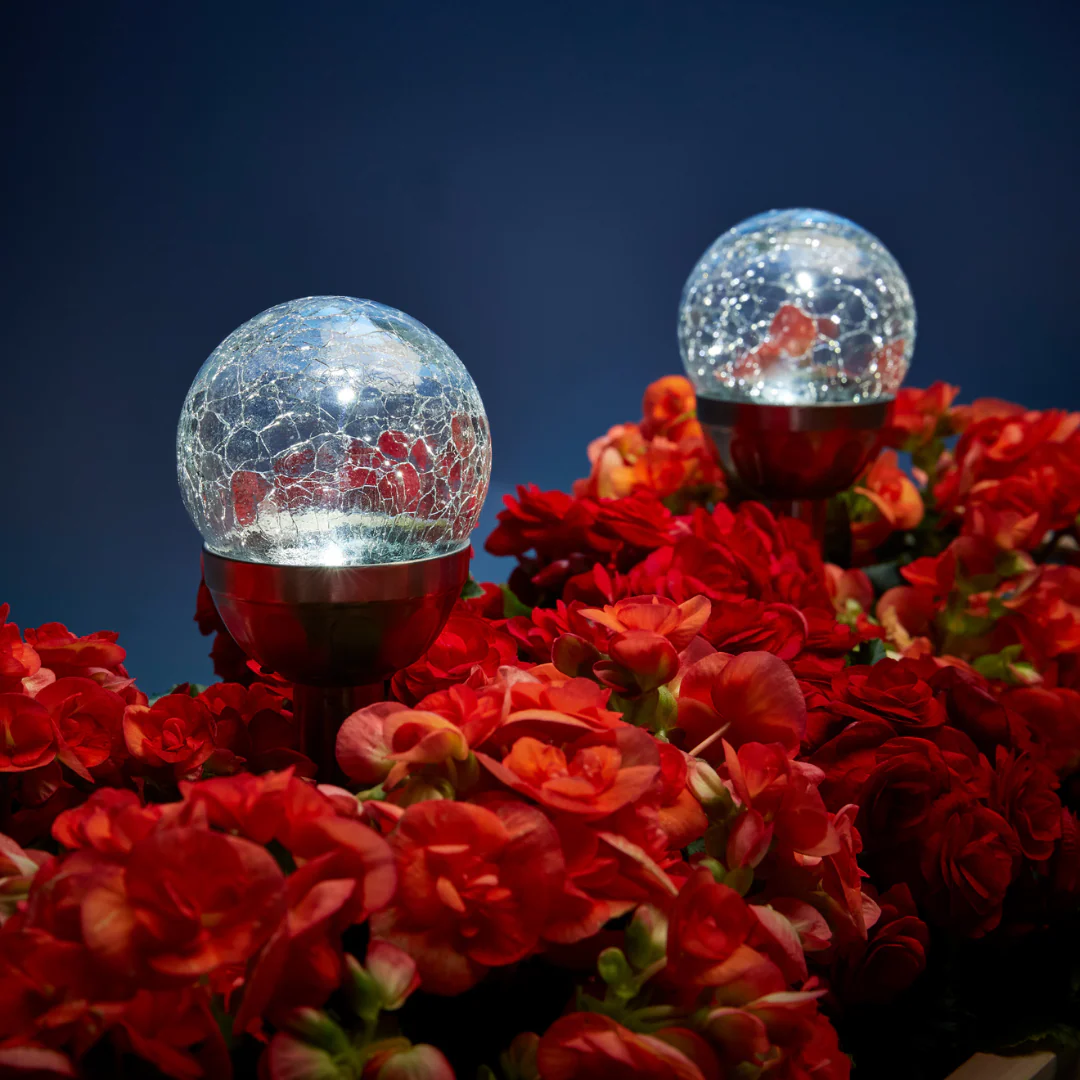 Solar Globe Garden Light - Image 6
