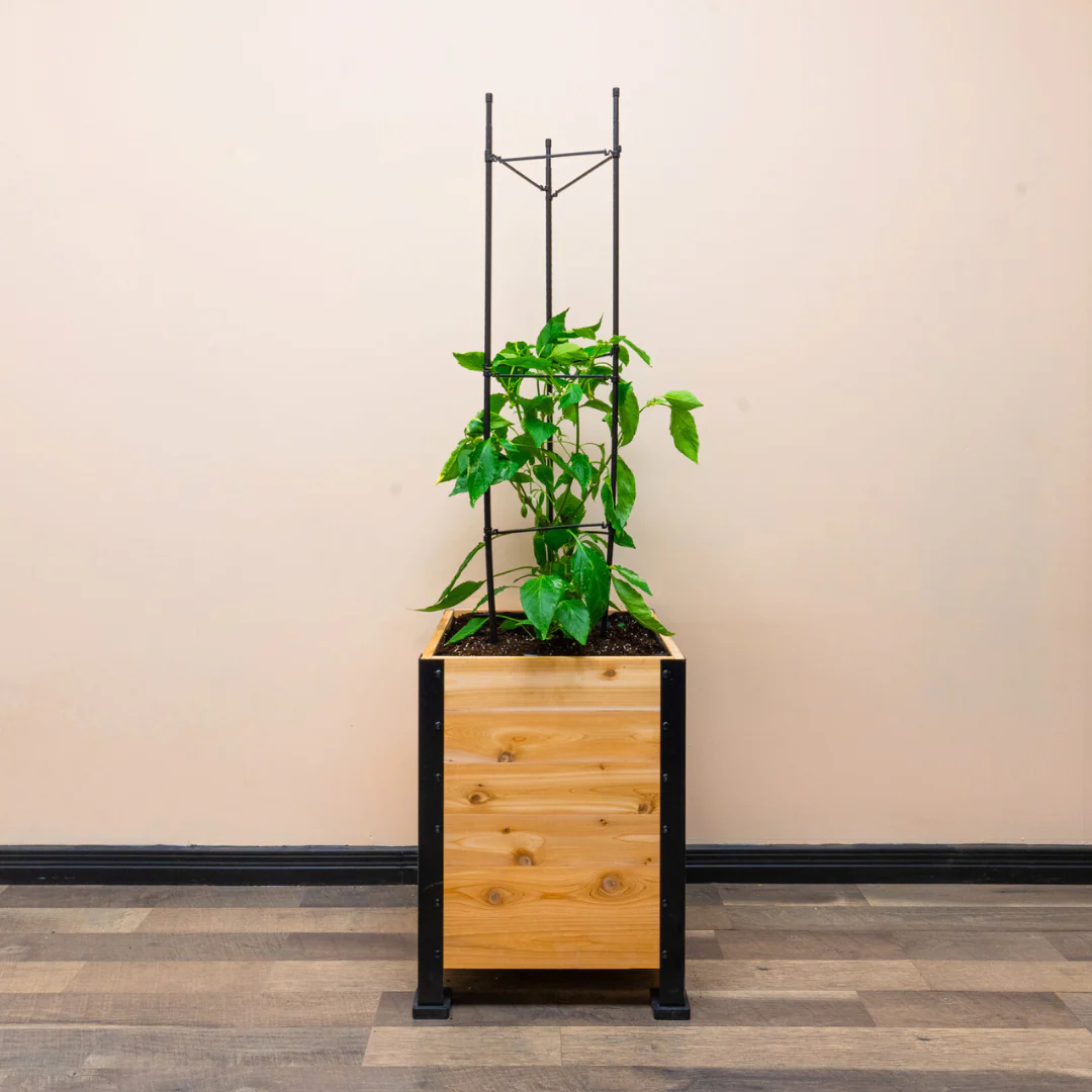 Vegetable Cage - Image 6