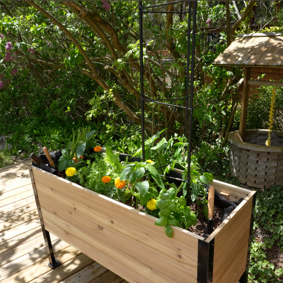 Vegetable Cage - Image 8