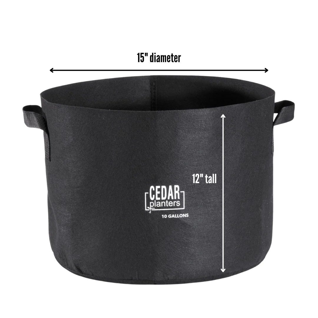 Veggie Grow Duo - Image 6